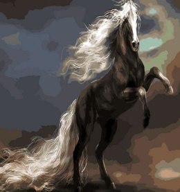 Zestaw kreatywny Norimpex malowanie po numerach - czarny koń 40x50cm (NO-1008889)