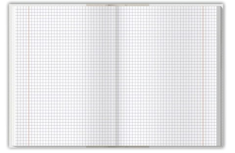 Brulion colors niebieski A5 96k. 70g krata Top 2000 (400169200)