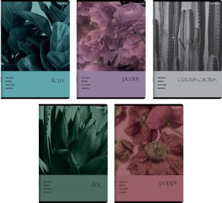 Zeszyt A5 BOTANY 80k. 70g krata Top 2000 (400181619)