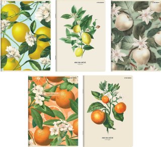 Zeszyt A5 SUMMER HARVEST CLUB 60k. 70g linia Top 2000 (400182443)