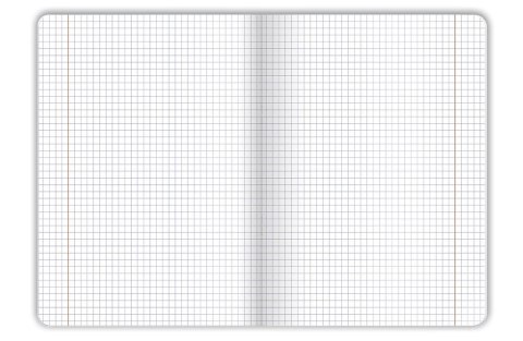 Zeszyt colors niebieska A4 60k. 70g krata Top 2000 (400169188)