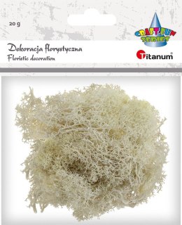 Dekoracja Craft-Fun Series dekoracja florystyczna mech chrobotek Titanum (2324045 BG)