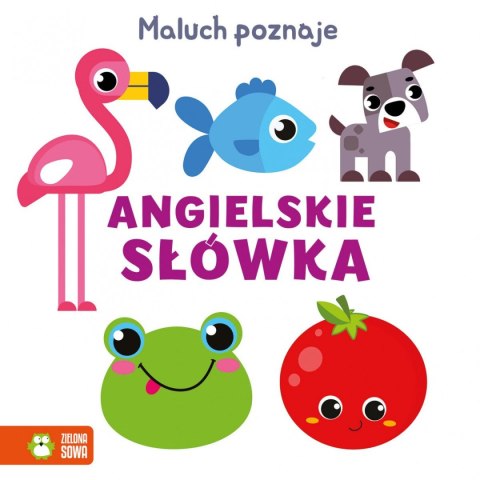 Książeczka edukacyjna Przeciwieństwa Maluch poznaje. Zielona Sowa