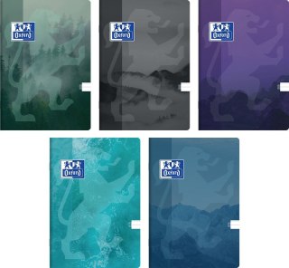 Zeszyt A5 TEENAGER 32k. 90g krata Oxford (40184626)