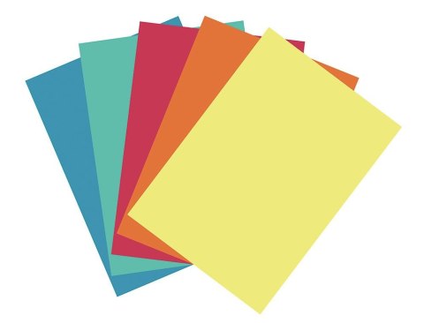 Papier ksero Flamingo pastelowy A4 mix 100k. 80g Papier ksero Flamingo pastelowy A4 mix 100k. 80g