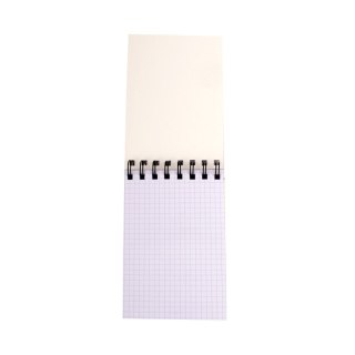 Kołozeszyt (kołonotatnik) A6 MONOCOLOR 96k. krata (nd) (5320)