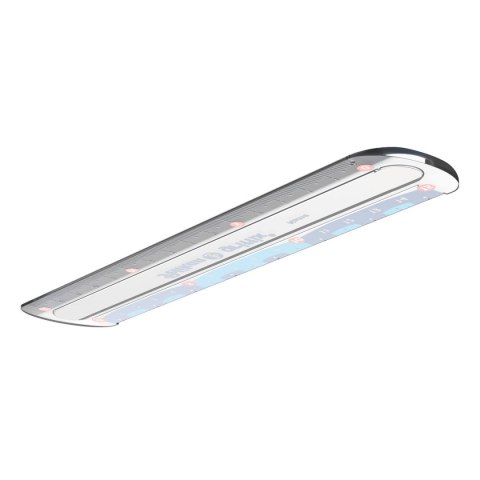 Linijka plastik Griffix 822275 15cm Pelikan (300000445)