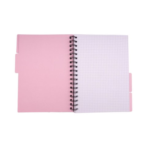 Kołozeszyt (kołonotatnik) Atomówki B5 96k. 70g krata Beniamin (6273)