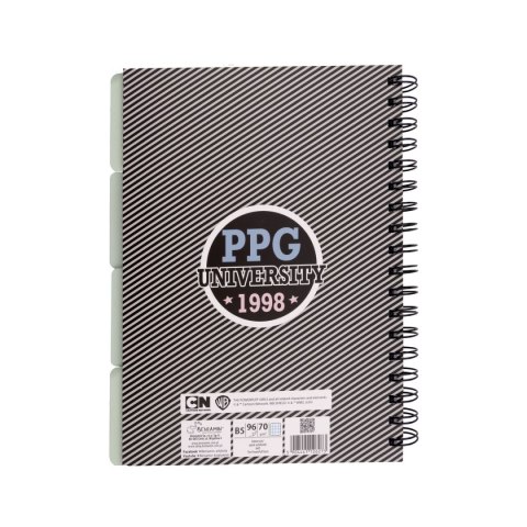 Kołozeszyt (kołonotatnik) Atomówki B5 96k. 70g krata Beniamin (6273)