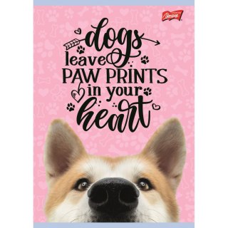 Zeszyt A4 mix dla dziewczynek 32k. 70g krata Unipap