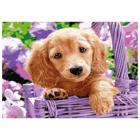 Zestaw kreatywny Diamentowa mozaika 30x40cm Pies Flamingo Line (TMF20876)