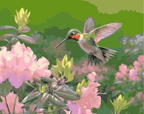 Zestaw kreatywny Malowanie po numerach 40x50cm Koliber Flamingo Line (FSY213)