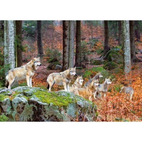 Kalendarz ścienny LEŚNI PRZYJACIELE rodzinny 2026 280mm x 400mm Lucrum (WL07)