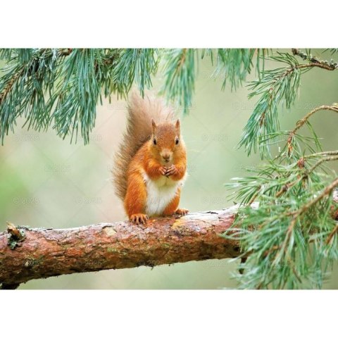 Kalendarz ścienny LEŚNI PRZYJACIELE rodzinny 2026 280mm x 400mm Lucrum (WL07)