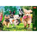 Puzzle Trefl Premium Plus Nadchodzą kłopoty 1000 el. (10800)