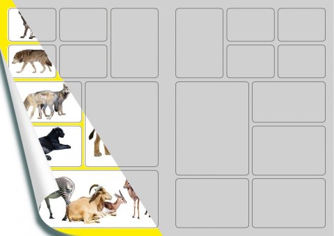 Kolorowanka Dzikie Zwierzęta