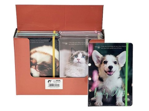 Notes (notatnik) psy i koty A5 krata Adar (614819)