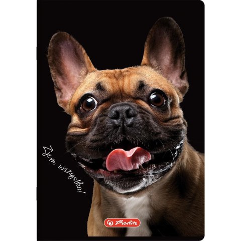 Zeszyt Crazy Animal A5 60k. 70g krata Herlitz (400196837)