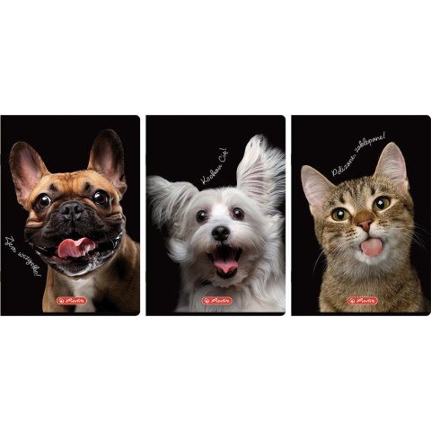 Zeszyt Crazy Animal A4 60k. 70g krata Herlitz (400196844)