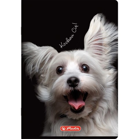 Zeszyt Crazy Animal A4 60k. 70g krata Herlitz (400196844)