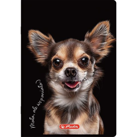 Zeszyt Crazy Animal A5 60k. 70g linia Herlitz (400196838)