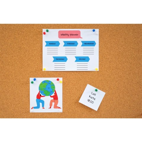 Tablica korkowa w ramie drenianej [mm:] 800x1000 Dom Korkowy