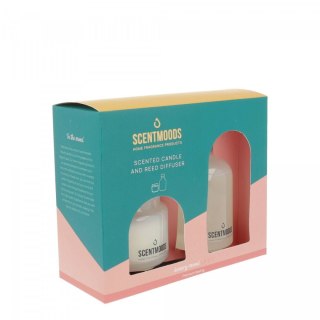 Świeczka ozdobna Zestaw prezentowy LA VIE - świeczka i dyfuzor zapachowy Pavoncella (8720935400981)