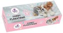 Farby plakatowe The Sweet Pets kolor: mix 20ml 12 kolor. Beniamin (2266)