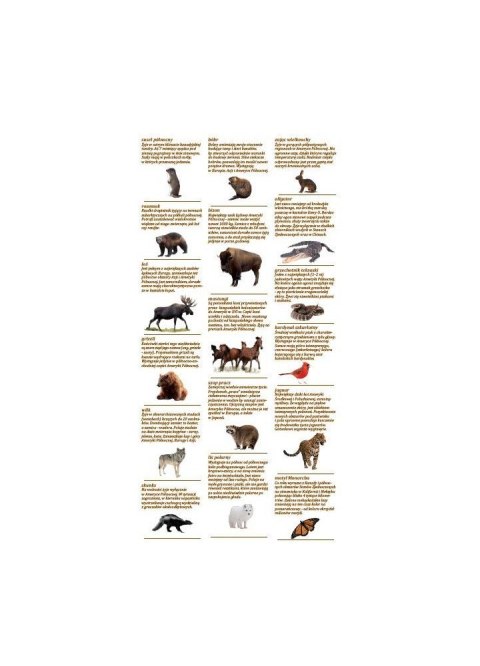 Mapa ścienna Mapy z naklejkami. Zwierzęta świata Demart