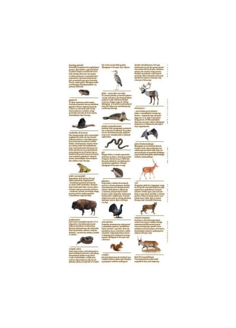 Mapa ścienna Mapy z naklejkami. Zwierzęta świata Demart