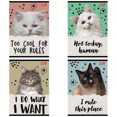 Zeszyt Caturday A5 32k. 70g linia kolor Unipap