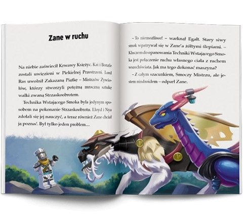 Książeczka edukacyjna LEGO® NINJAGO®. Moce i zdolności Ameet (LNR 6728)