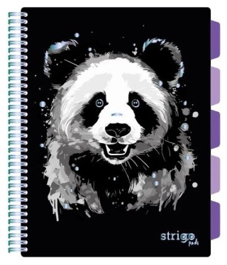 Kołozeszyt (kołonotatnik) A4 PANDA 100k. 80g krata Strigo (PADS021)