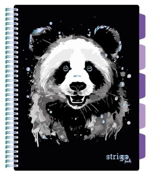 Kołozeszyt (kołonotatnik) A4 PANDA 100k. 80g krata Strigo (PADS021)