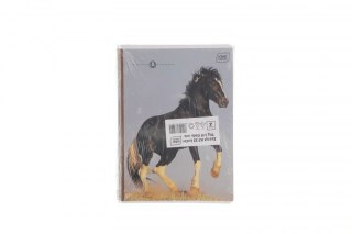 Zeszyt A5 GIRLS 32k. 70g linia kolor Interdruk