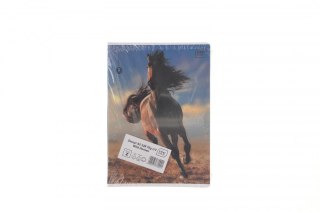 Zeszyt A5 WILD HORSES 32k. 70g krata Interdruk