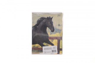 Zeszyt A5 WILD HORSES 32k. 70g linia kolor Interdruk