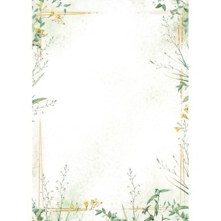 Papier ozdobny (wizytówkowy) A4 łąka 100g Galeria Papieru (233910)