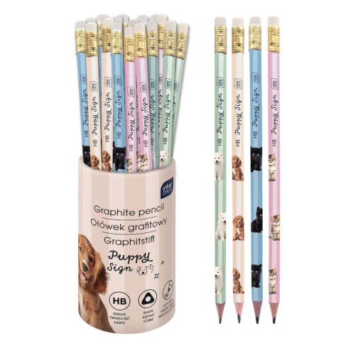 Ołówek PUPPY SIGN HB Interdruk (36szt tuba)