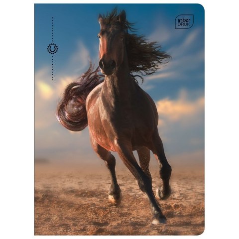 Zeszyt A5 16k. 70g linia kolor Interdruk