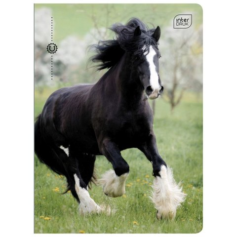 Zeszyt A5 32k. 70g trzy linie Interdruk