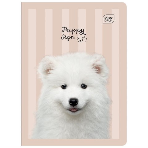 Zeszyt MIX A5 32k. 70g krata Interdruk (ZE32KF#)