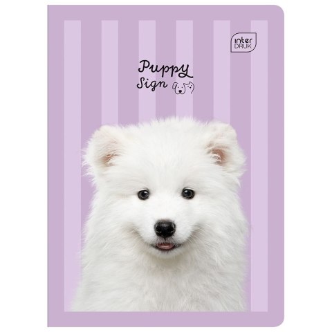 Zeszyt PUPPY SIGN A5 32k. 70g linia kolor Interdruk