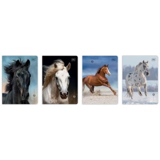 Zeszyt A5 WILD HORSES 16k. 70g linia kolor Interdruk