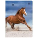 Zeszyt WILD HORSES A5 16k. 70g linia kolor Interdruk