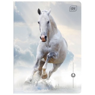 Zeszyt A5 WILD HORSES 32k. 70g krata Interdruk