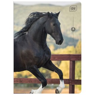 Zeszyt A5 WILD HORSES 32k. 70g linia kolor Interdruk