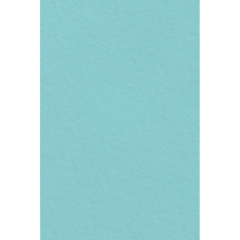 Filc kolor: mix 5 ark. [mm:] 200x297 Interdruk (IFILCPAS)