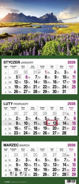 Kalendarz ścienny GÓRY 310mm x 790mm Press