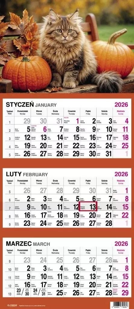 Kalendarz ścienny KOT 310mm x 790mm Press